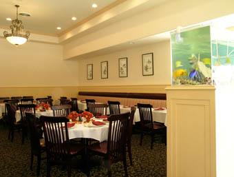 Shanghai Glatt Kosher