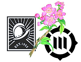 Cupertino Cherry Blossom Festival