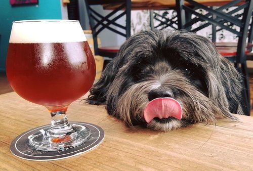 Black Hammer Brewing