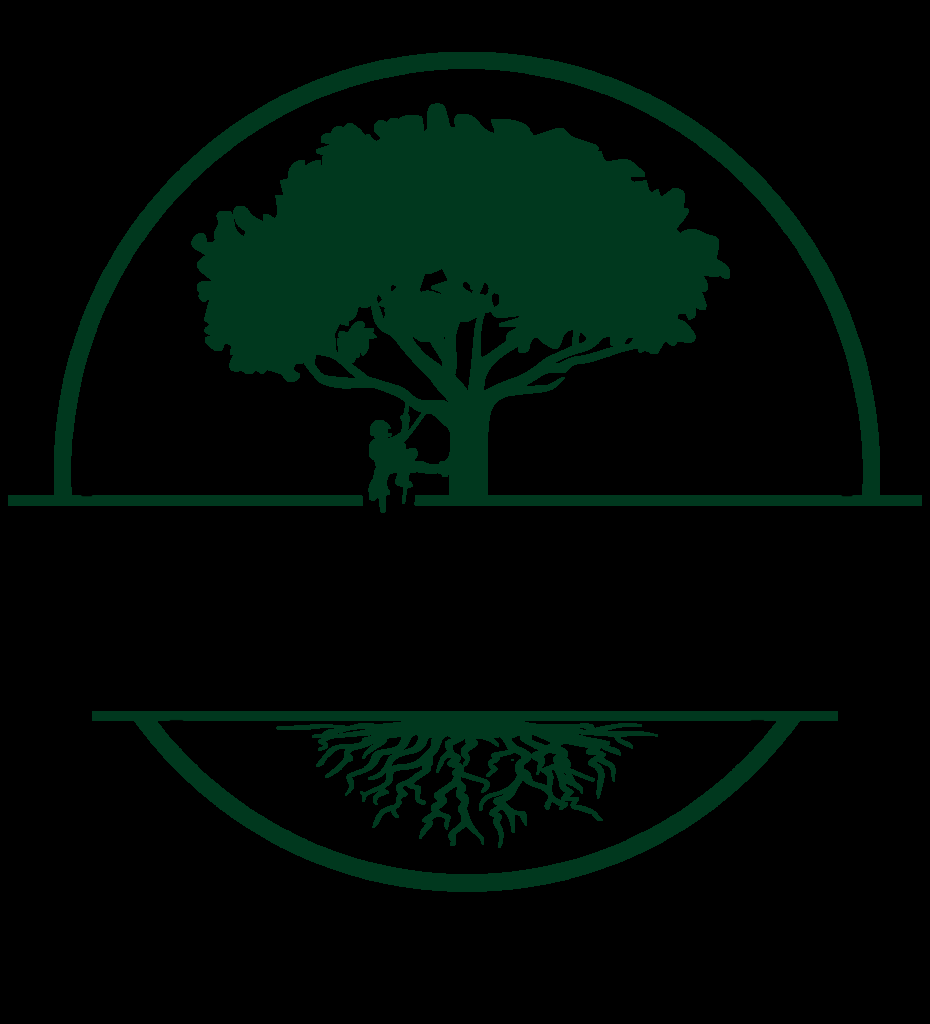 Expert Tree Services in Everett, MA and Beyond!