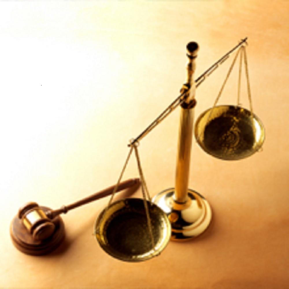 Law Office Of Lina R Trevino